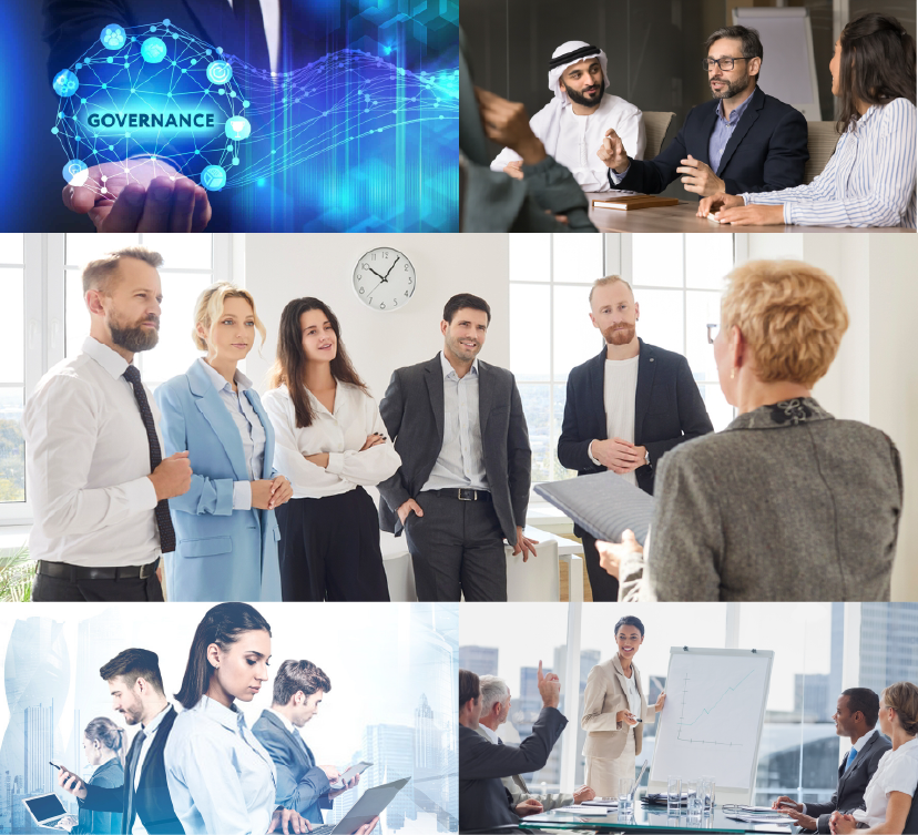 Hands holding fresh vegetables